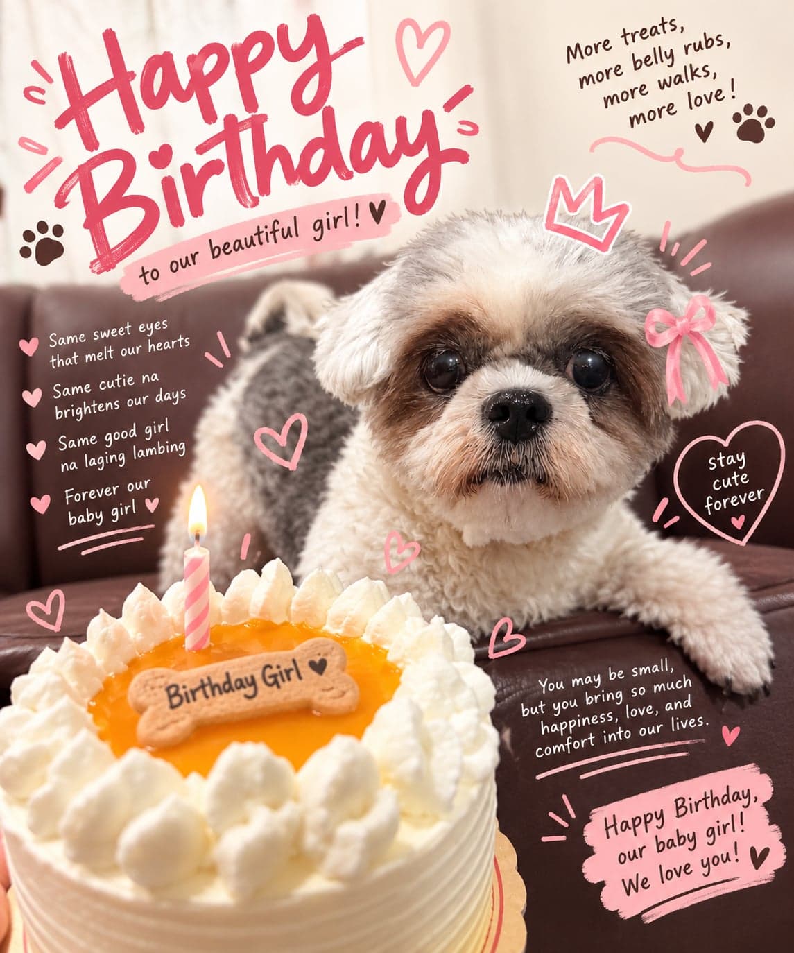 Chelsea’s 11th barkday 🎊🎂🐾