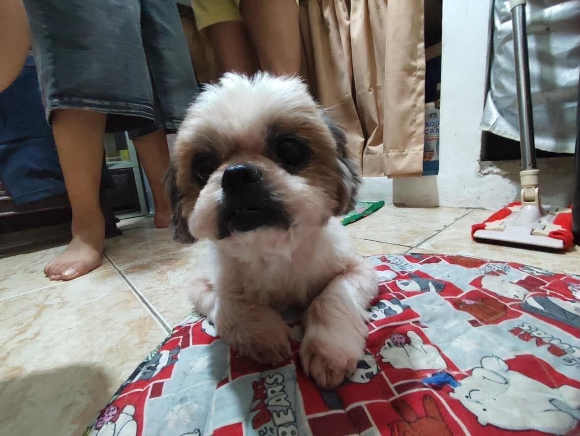 Photo of Kisses