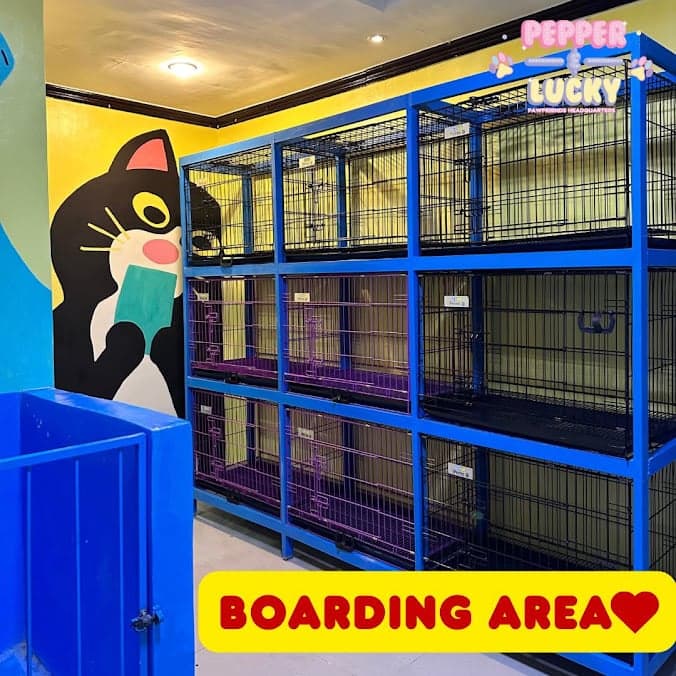 Pepper and Lucky Pawfriends Headquarters - Bulihan Branch