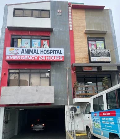Juan da Veterinarian Animal Clinic