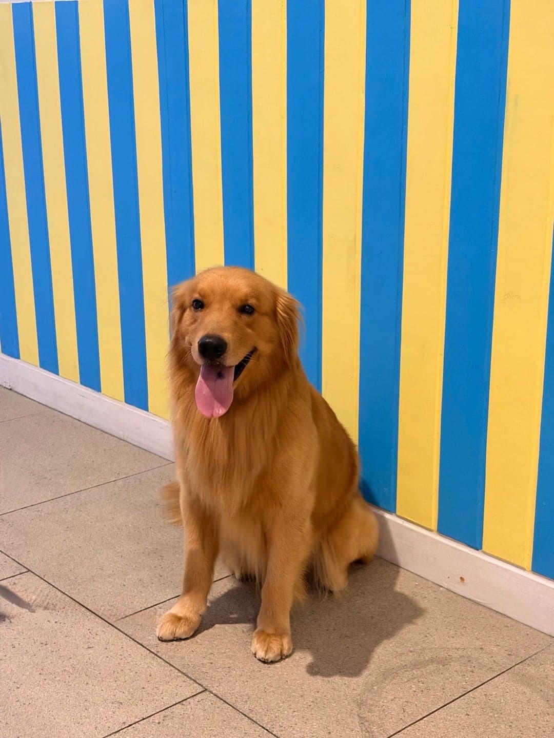 Photo of Ranger