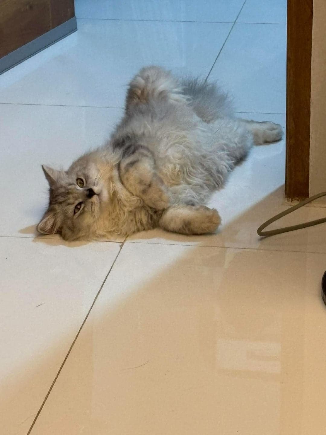 Chill muna bago mangulit mamaya