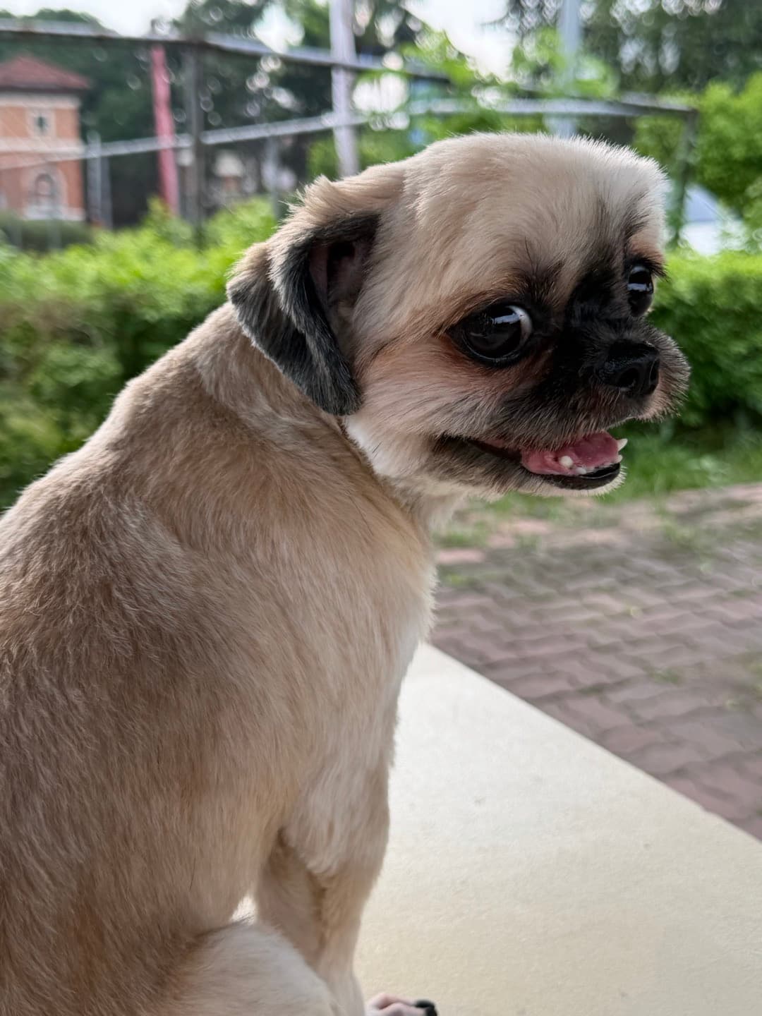 Post by Ginger