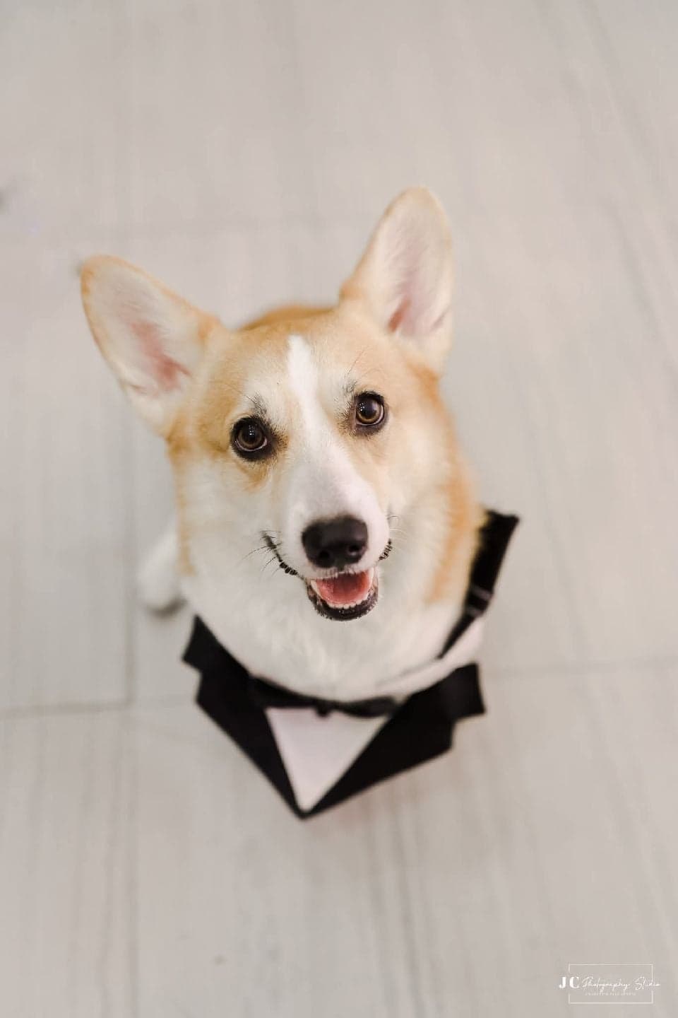 Photo of Charlie
