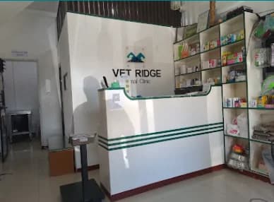 Vet Ridge Animal Clinic