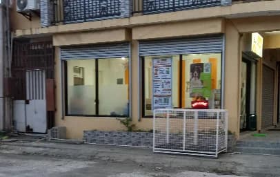 PAWS TO GO Pet Grooming & Boarding Services