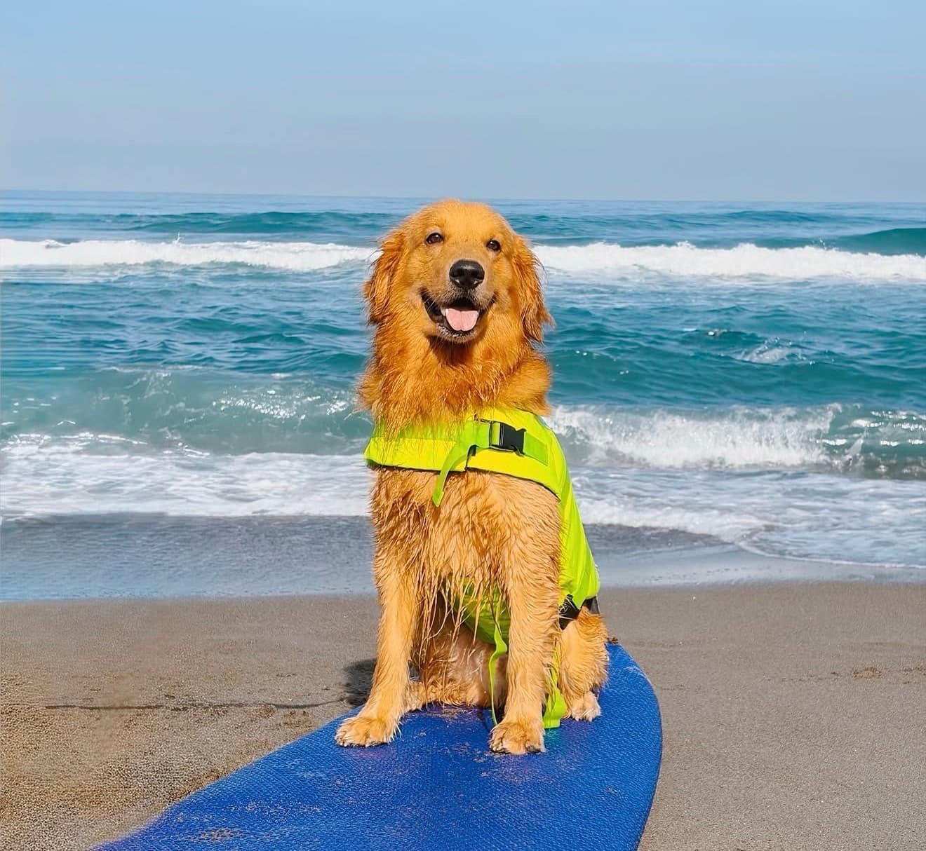 lets go to the beach beach 🎶