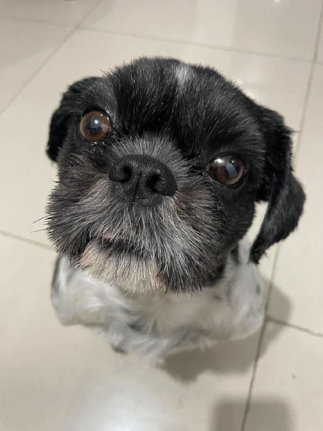 Photo of bruce