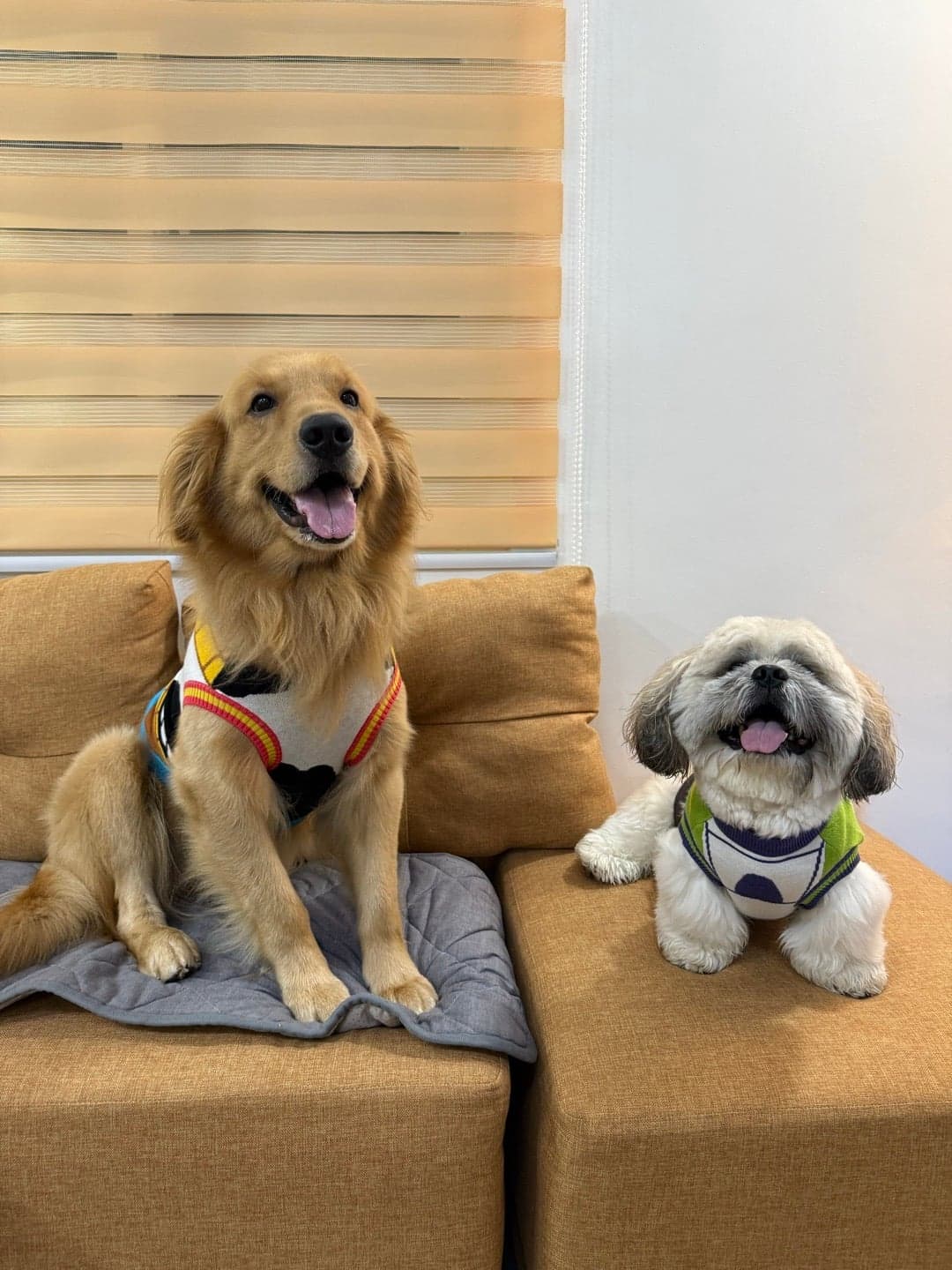 You got a friend in me 🐾🎶