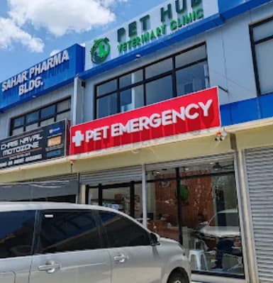 Pet Hub Veterinary Clinic - Las Pinas Branch