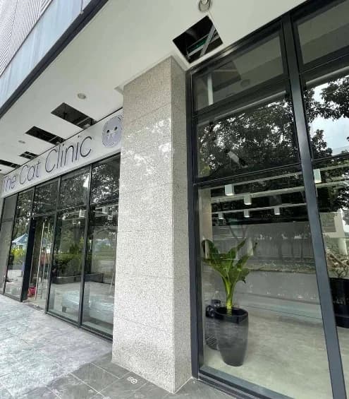 The Cat Clinic Alabang Branch